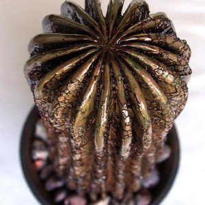 Escultura Cactus, cubierta esmalte metalizado 'Triana'